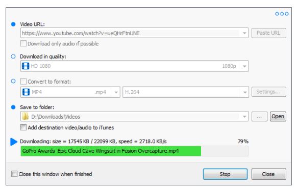 Robin YouTube Video Downloader