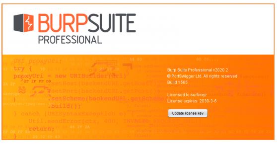 Burp Suite Pro