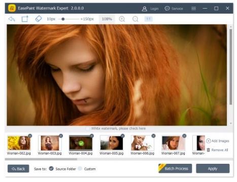 EasePaint Watermark Expert