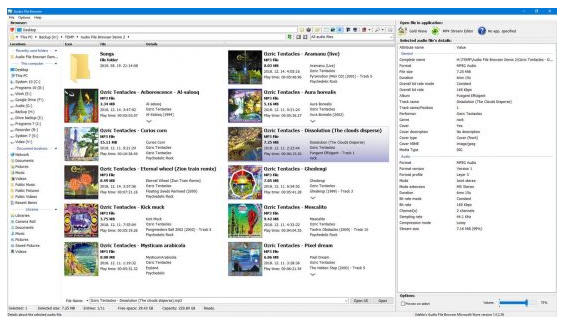 3delite Audio File Browser