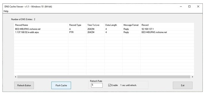 DNS Cache Viewer