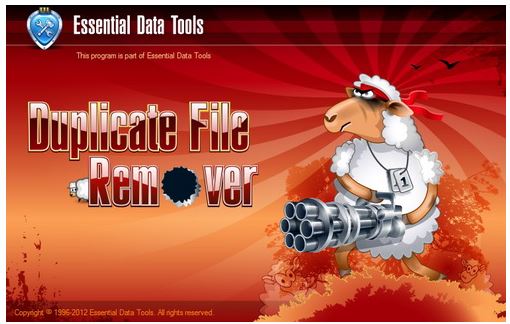 Duplicate File Remover
