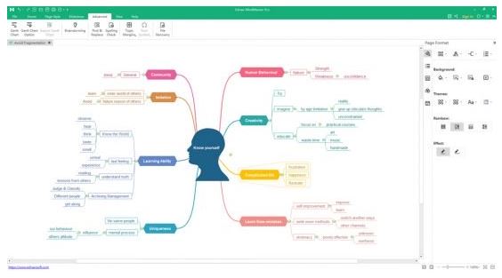 Edraw MindMaster Pro