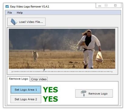 Easy Video Logo Remover