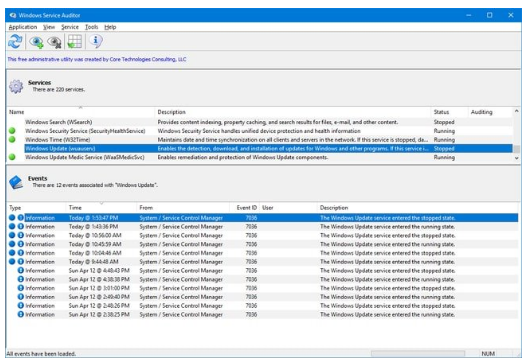 Windows Service Auditor