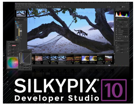 SILKYPIX Developer Studio