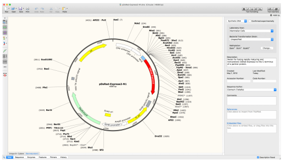 SnapGene