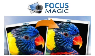 Focus Magic