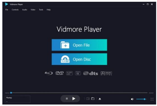 Vidmore Player