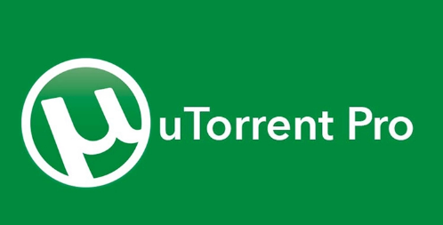 uTorrent Pro 3.6.0.46856 Portable [Latest] Crack