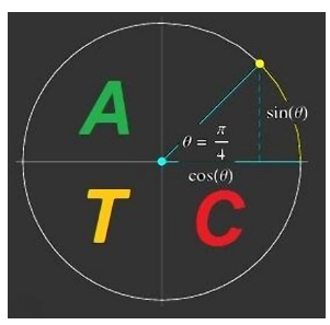 Advanced Trigonometry Calculator