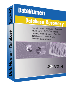 DataNumen Database Recovery