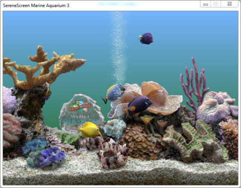 SereneScreen Marine Aquarium