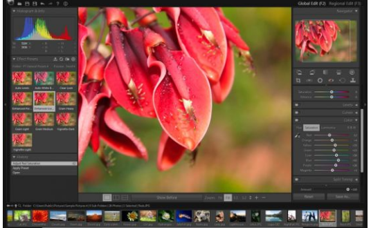 PT Photo Editor Pro 5.10.3 for mac instal free