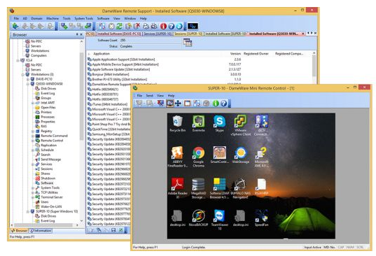 DameWare Remote Support