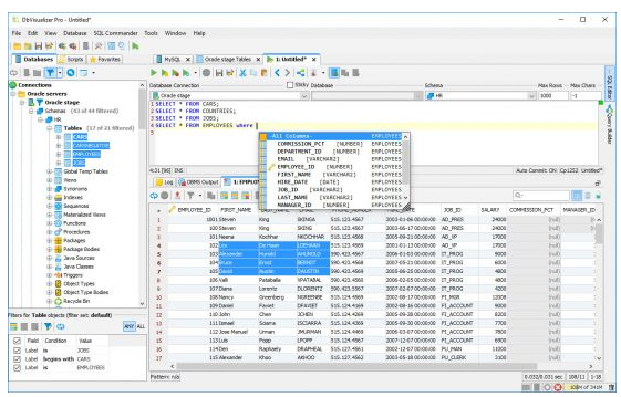 DbVisualizer Pro