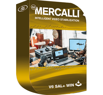 proDAD Mercalli V6 SAL 6.0.617.2 + Portable [Latest] Crack