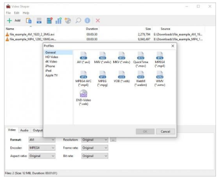 Video-Shaper Portable