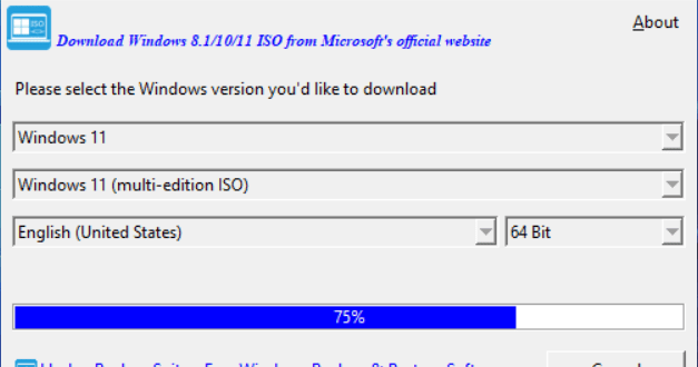 Hasleo Windows ISO Downloader 1.4 [Latest] Crack