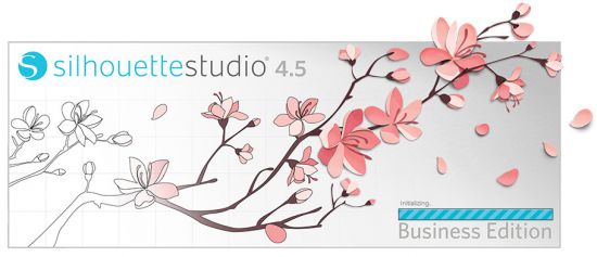 Silhouette Studio Business