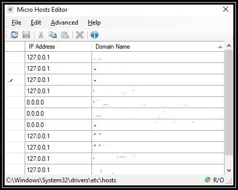 Micro Hosts Editor